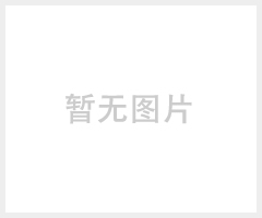 星达单槽400300250工作空间真空含浸机现货